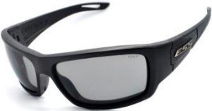 Очки защитные реплика ESS Credence Tactical AS-GG0035G