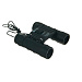 Бинокль NORIN 12х25 black